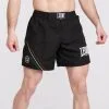 Pantaloncini MMA Leone Flag AB958 -Guanti pantaloncini leone mma flag ab958 1