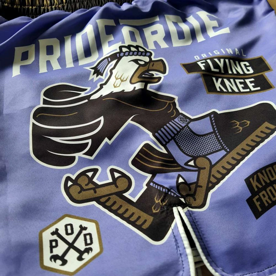 Pantaloncini MMA Pride Or Die Flying Knee 5 Pantaloncini MMA Pride Or Die Flying Knee - immagine 3