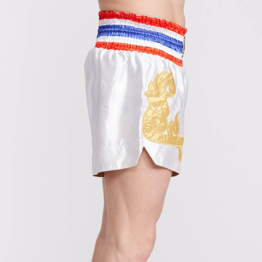 Pantaloncini Kick-thai Leone Thai Style AB967 7 Pantaloncini Kick-thai Leone Thai Style AB967 - immagine 5