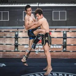 Paratibia Muay Thai King SG1 9 Paratibia Muay Thai King SG1 -Guanti paratibia muay thai king sg1 1